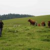 09 b Schluchensteig Etappe 4 - 6
